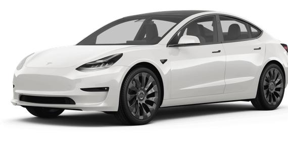 TESLA MODEL 3 2023 5YJ3E1EC2PF591158 image